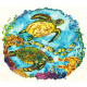 Original Painting - Under the Sea